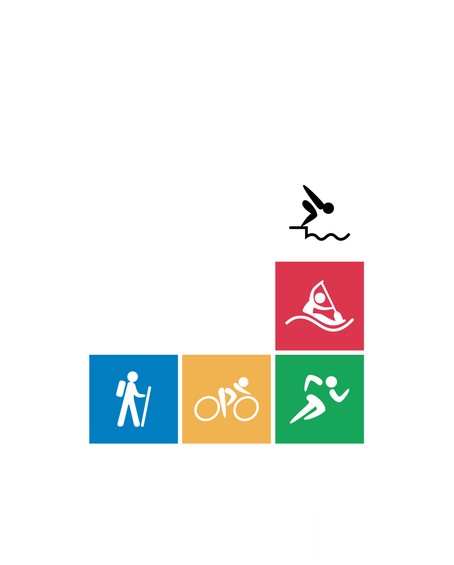 Icon 2